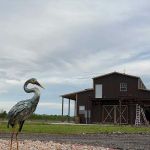 Freedom Birds RV Park