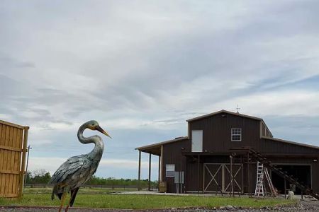 Freedom Birds RV Park