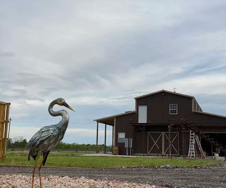 Freedom Birds RV Park