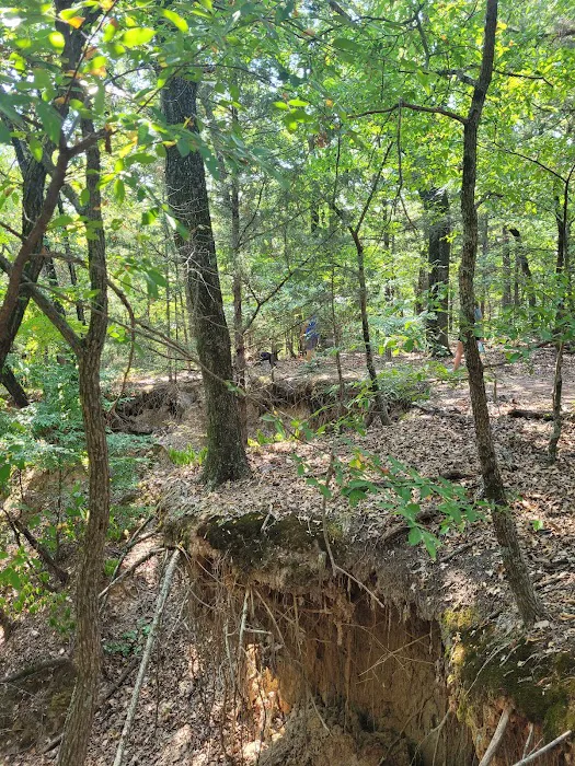Buncombe Creek Campground 6