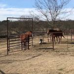 Rocker B Ranch
