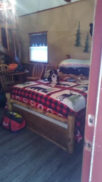 Custom Cabin Rental 10