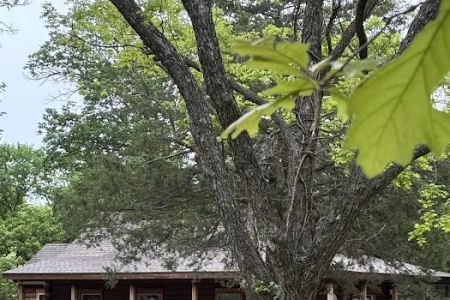 The Cozy Pines Cabin & RV Park
