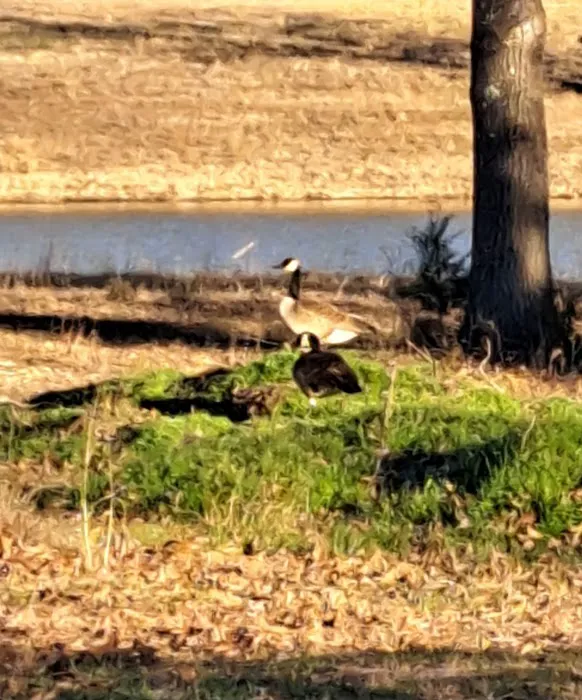 Weems Hill RV Park 8