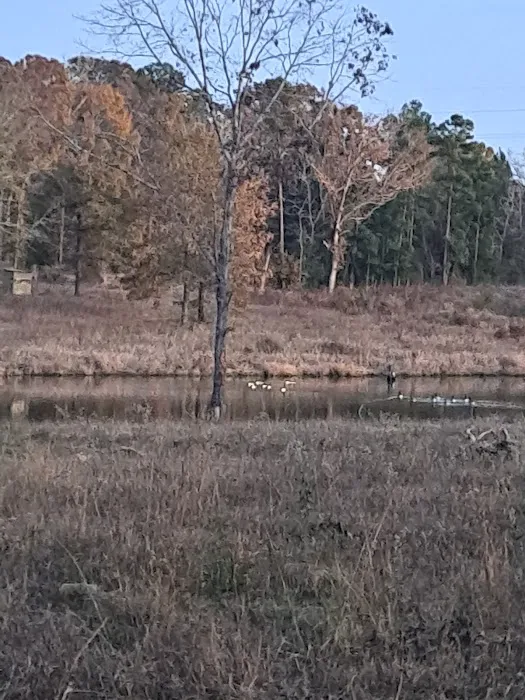 Weems Hill RV Park 2