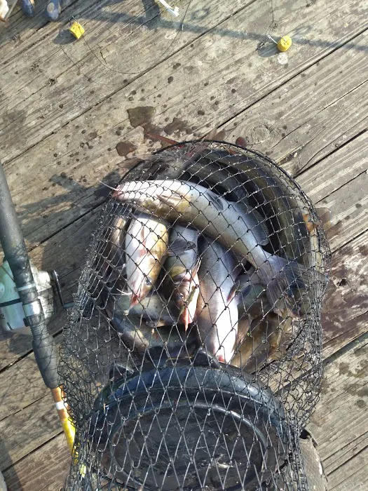 Coffee Creek Landing 1