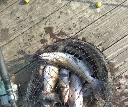 Coffee Creek Landing