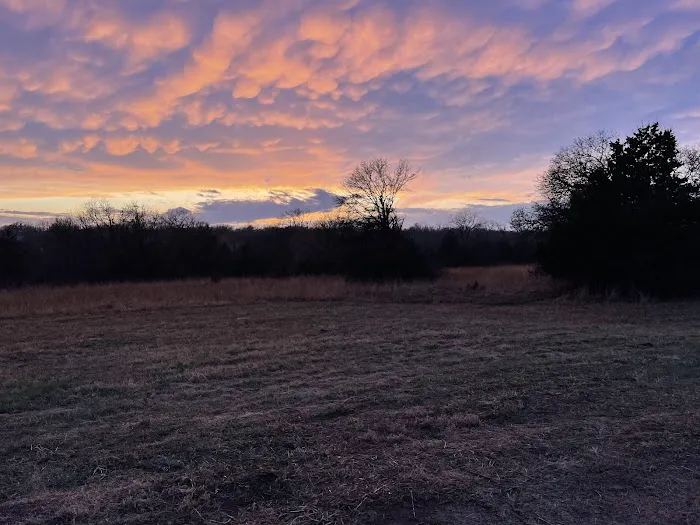 Redbud RV Park 4