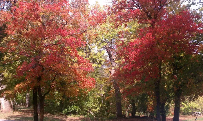 Salyer Lake Conference & Retreat Center 7