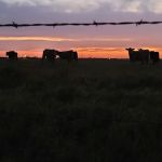 Country East Mobile Home & RV Community