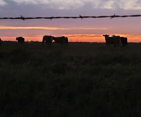 Country East Mobile Home & RV Community