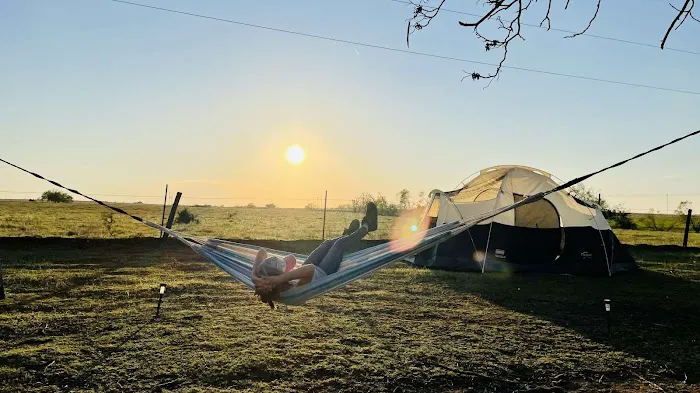 Alpaca Camping 1