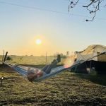 Alpaca Camping