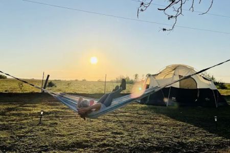 Alpaca Camping