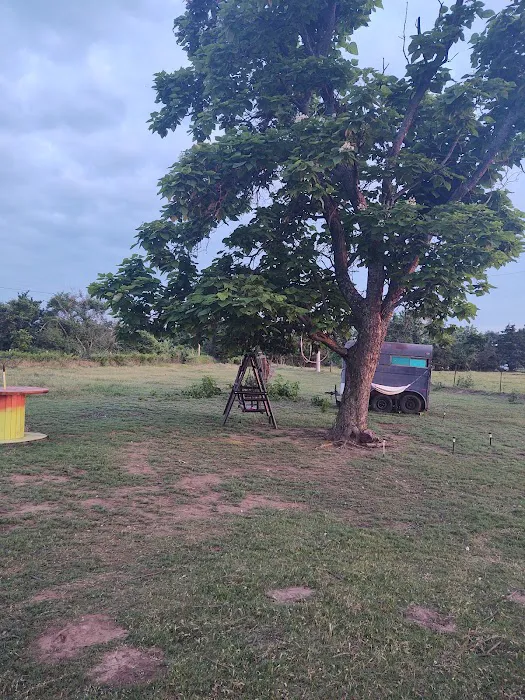 Alpaca Camping 4