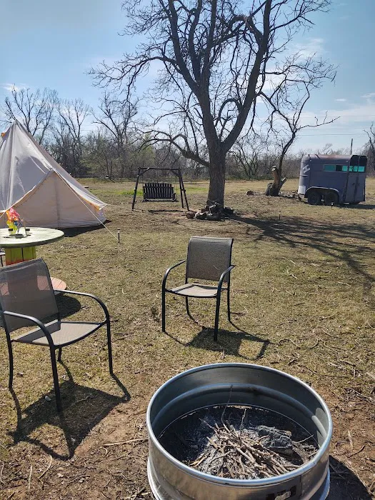 Alpaca Camping 2