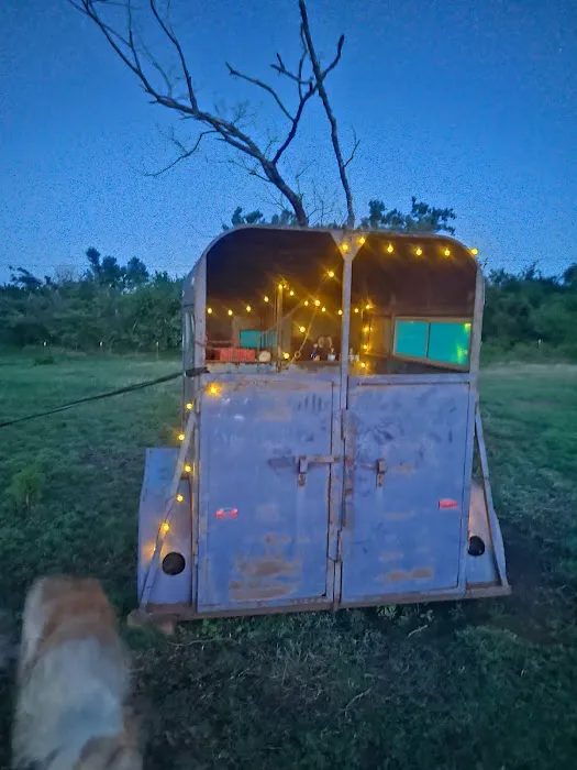 Alpaca Camping 9