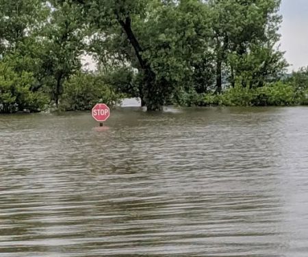 M&M Point Campground