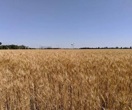 Maple Village Manufactured Home Community