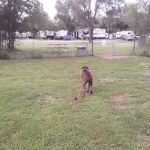 All Seasons RV Park