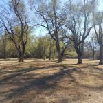 Deweese Campground