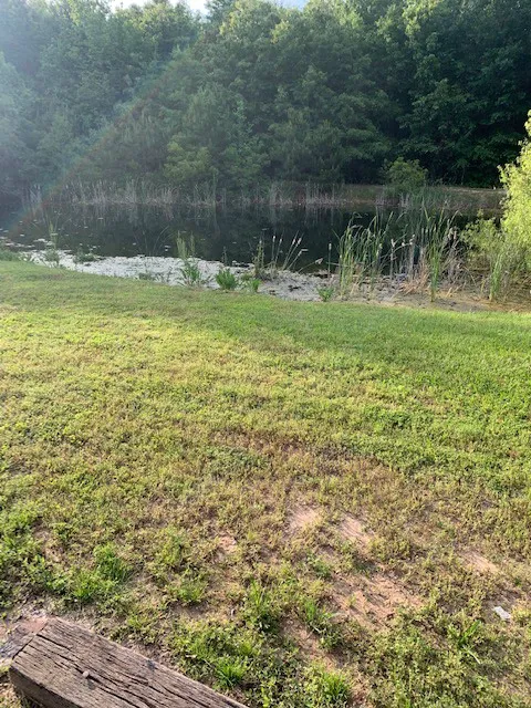 Little Oasis RV Park 4