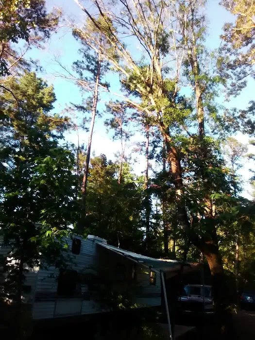 Rustic Pines RV Park of Hawkins, Texas 6