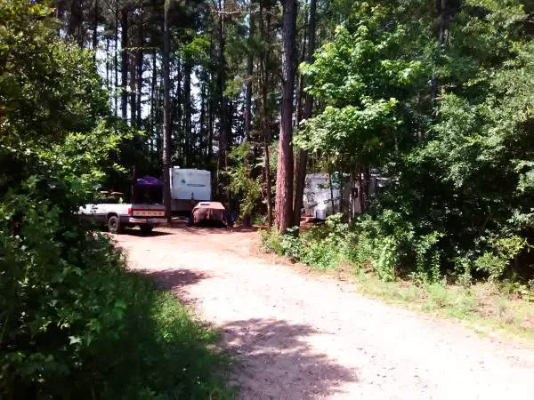 Rustic Pines RV Park of Hawkins, Texas 3