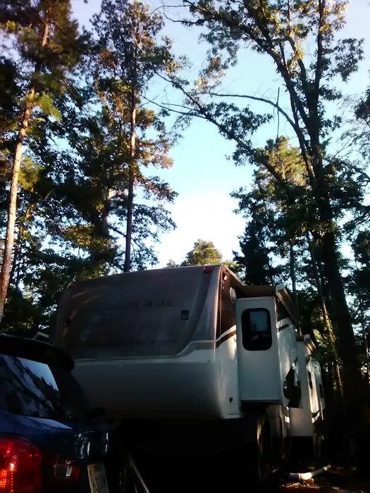 Rustic Pines RV Park of Hawkins, Texas 2