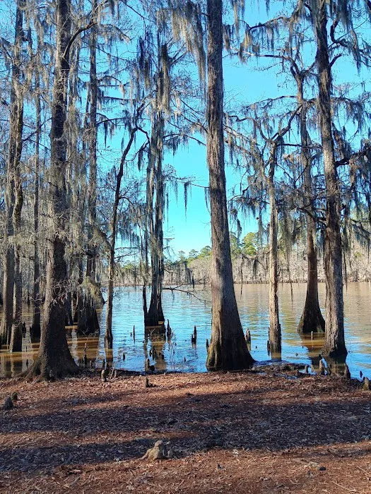 Tuckers Hunting and Fishing Camp 7