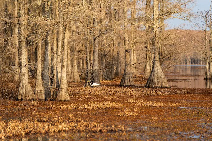 Tuckers Hunting and Fishing Camp 5