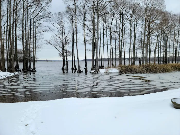 Buzzard Bay Landing & RV Park, LLC 4