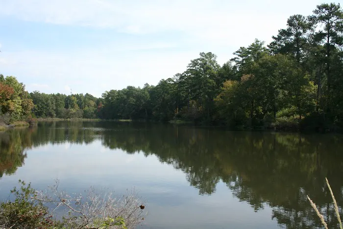 Comfort Lake Village 8