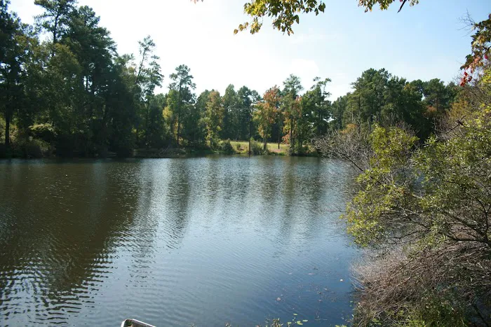 Comfort Lake Village 5