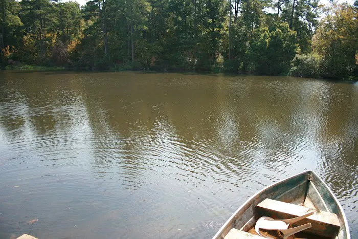 Comfort Lake Village 6