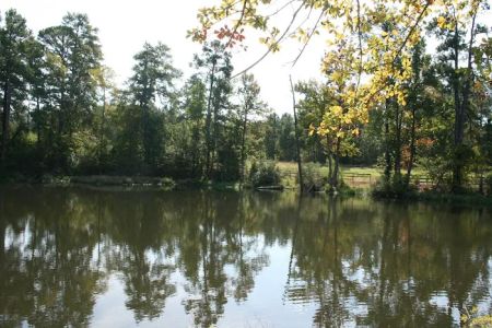 Comfort Lake Village