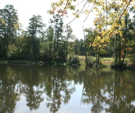 Comfort Lake Village