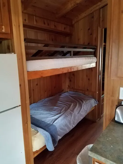 Yogi Bear's Jellystone Park Camp-Resort: Tyler, TX 1