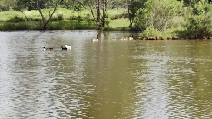 Laguna Vista RV Park Inc. - Campground Site, RV Sites in Marshall TX 2