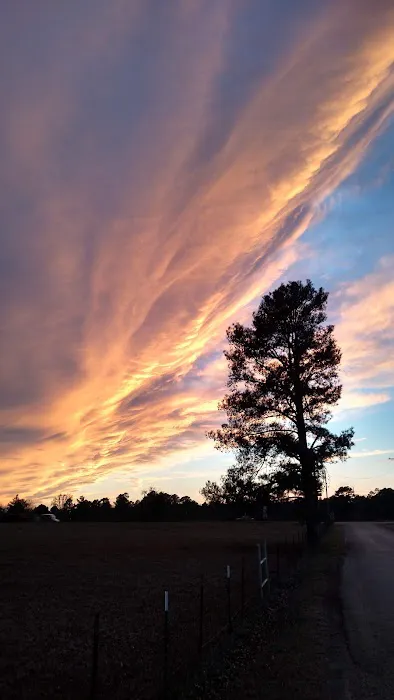 Laguna Vista RV Park Inc. - Campground Site, RV Sites in Marshall TX 7