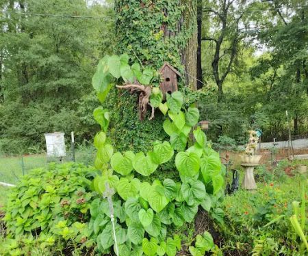 Holiday Springs RV Park