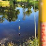 Country Haven RV Park