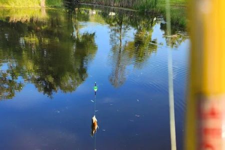 Country Haven RV Park