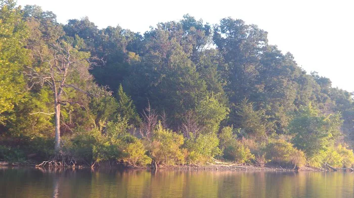 Buckhorn Campground Loop B 8