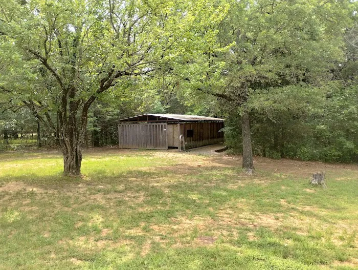 Hanta Pa Ha Campsite 6