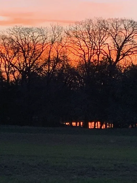 Texoma RV Ranch 4