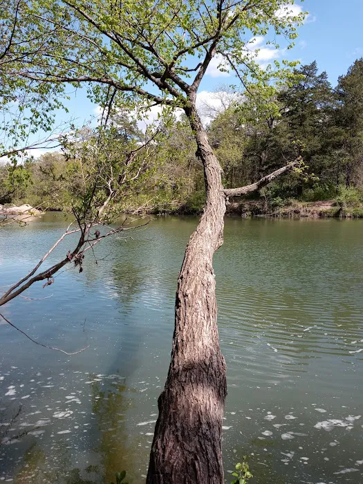 Blue River Campsites 6