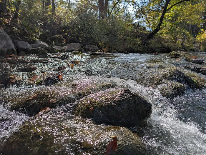 Blue River Campsites 10