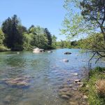 Blue River Campsites
