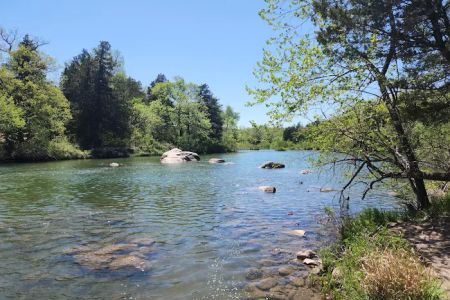 Blue River Campsites